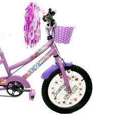 Bicicletas